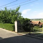 Kovirag