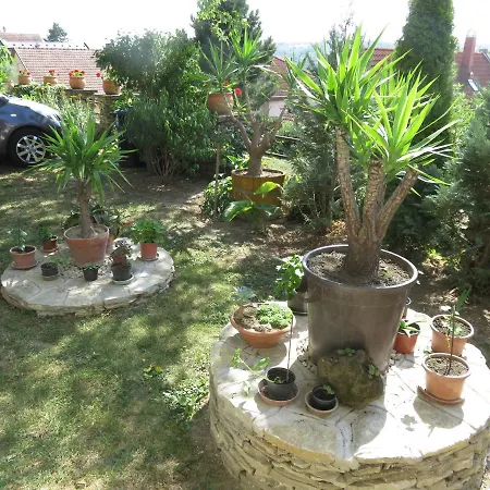 Kovirag * Хевиз