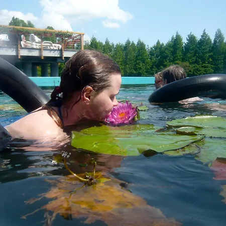 Апартаменты Kovirag