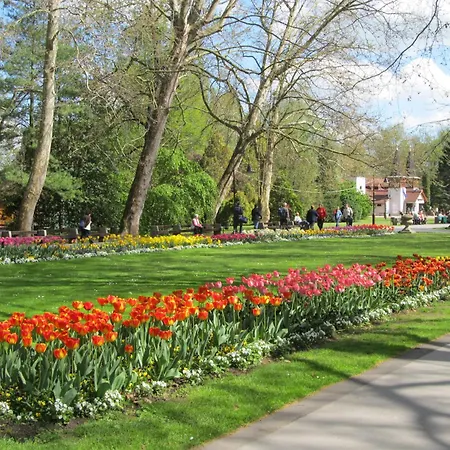 Апартаменты Kovirag *