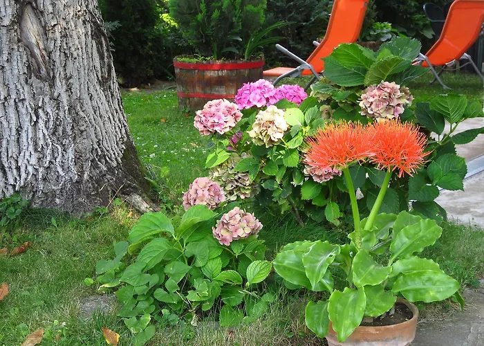 Appartement Kovirag *